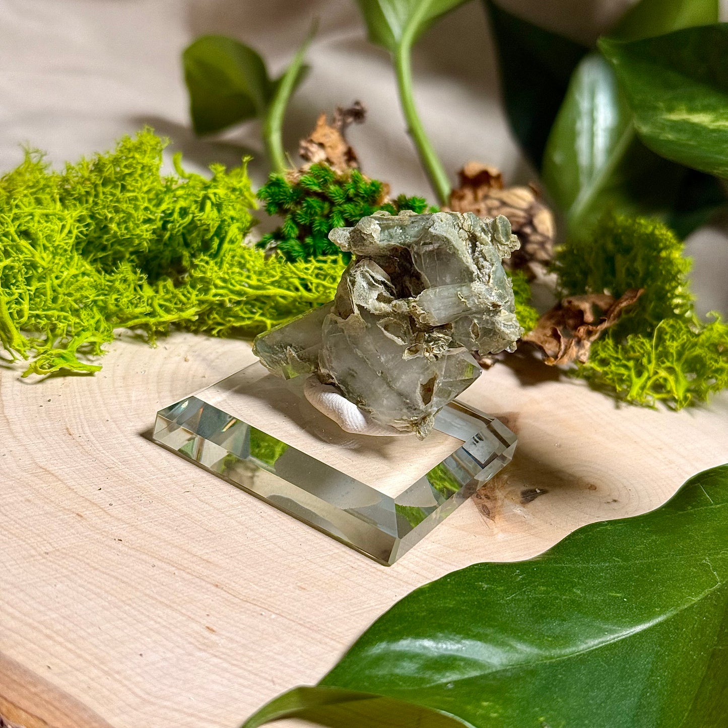 Green Phantom Chlorite Himalayan Quartz Clusters - Pakistan