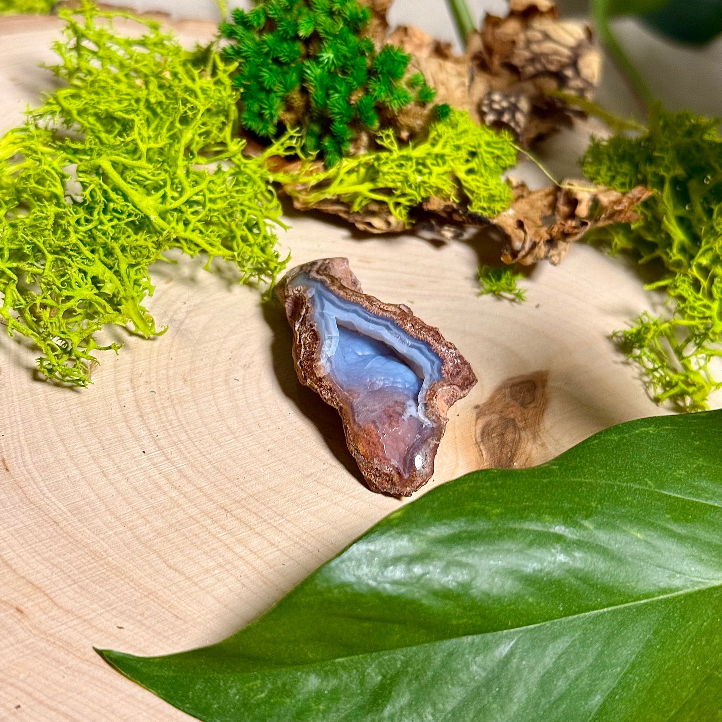 Chalcedony Agate - Verde Valley Specimen