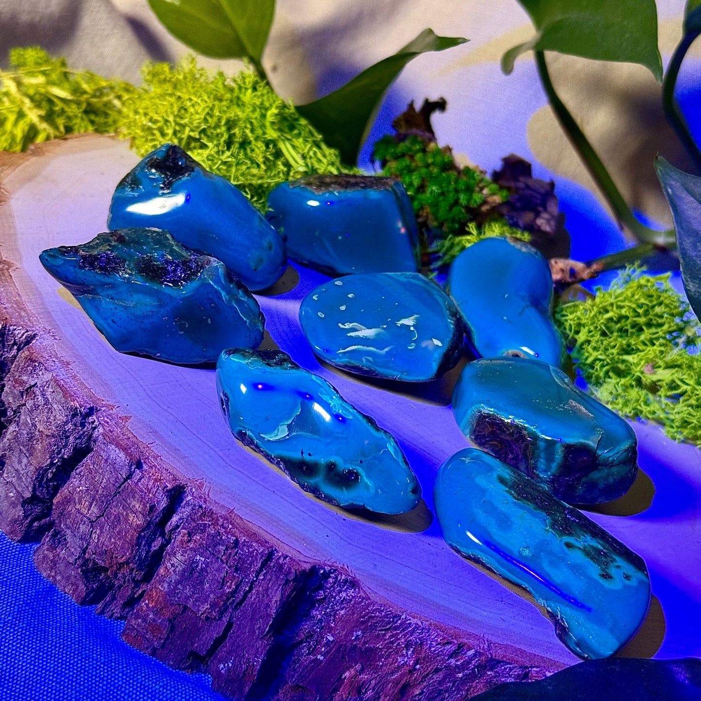 Sumatra Blue Amber Polished/Raw