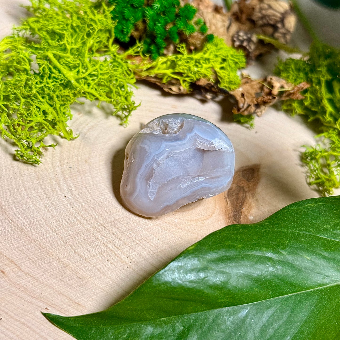 Chalcedony Agate - Verde Valley Specimen