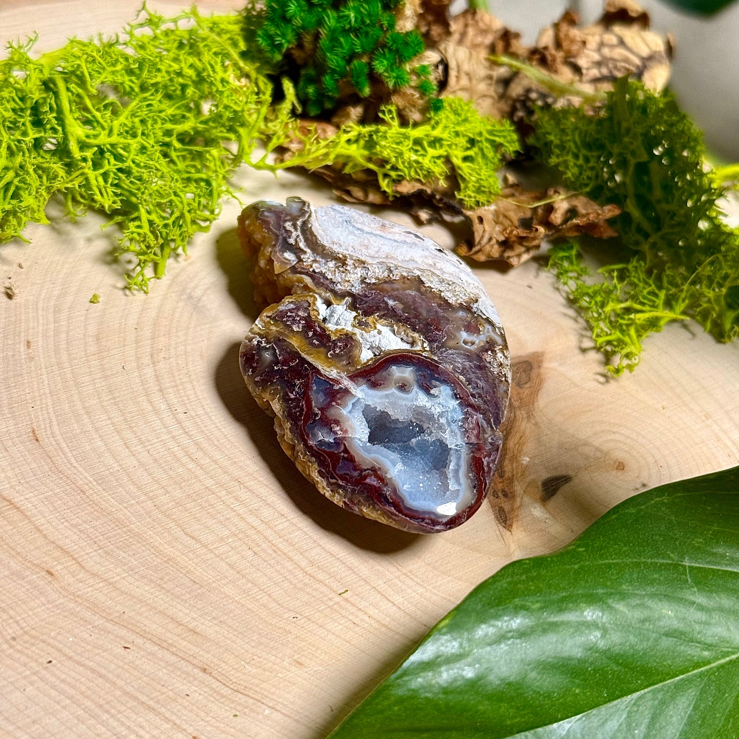 Chalcedony Agate - Verde Valley Specimen