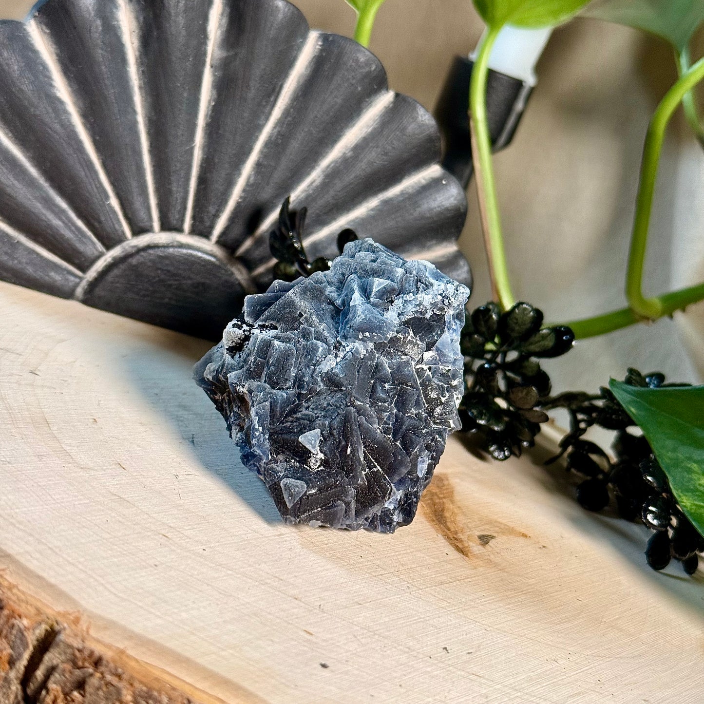 Black Rose Fluorite Specimens