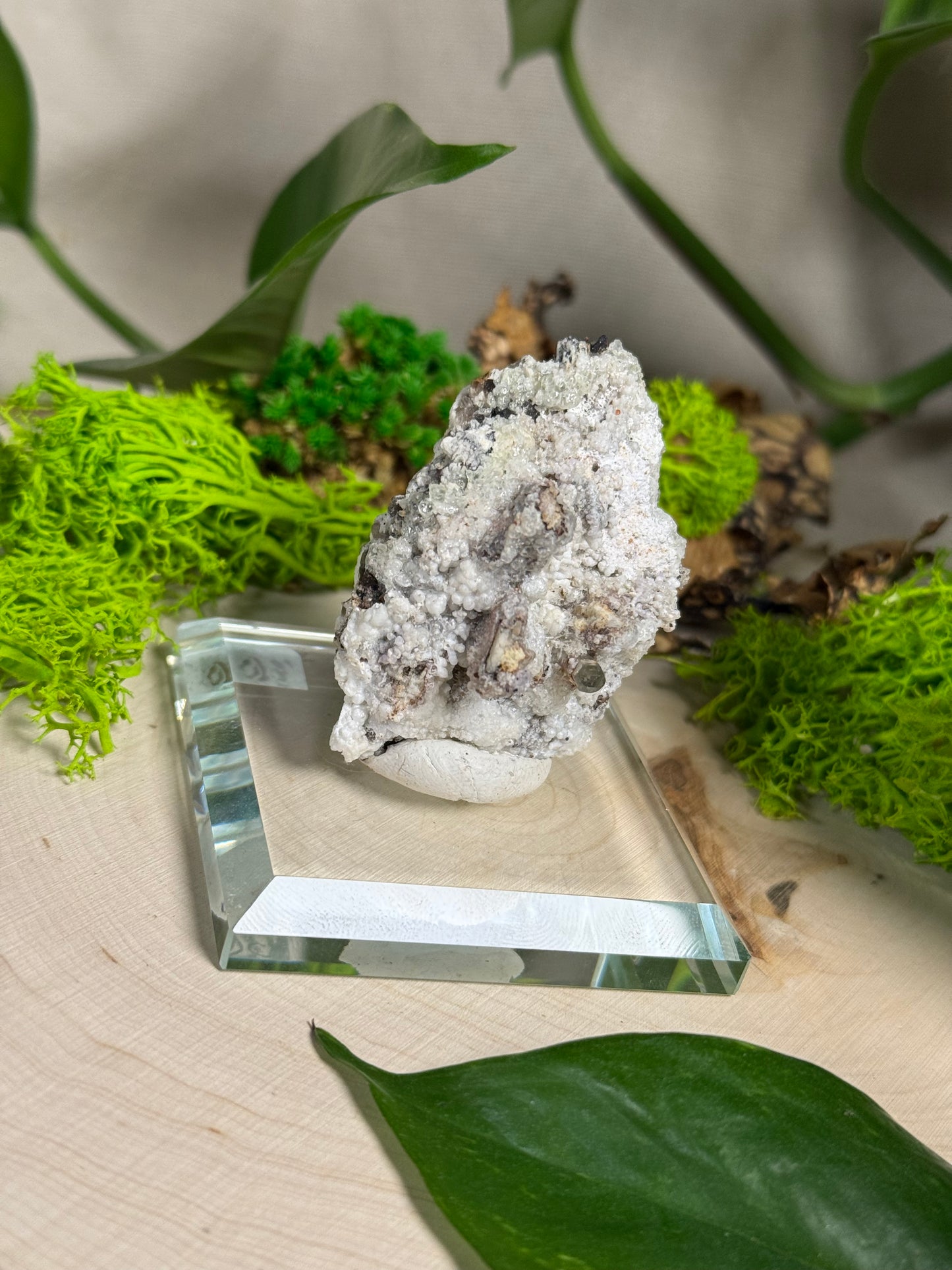 Hyalite Opal on Various Matrix Specimens